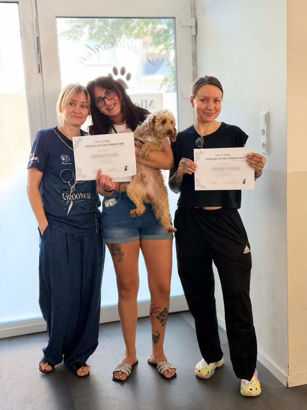 Ausbildungssituation im Hundesalon
