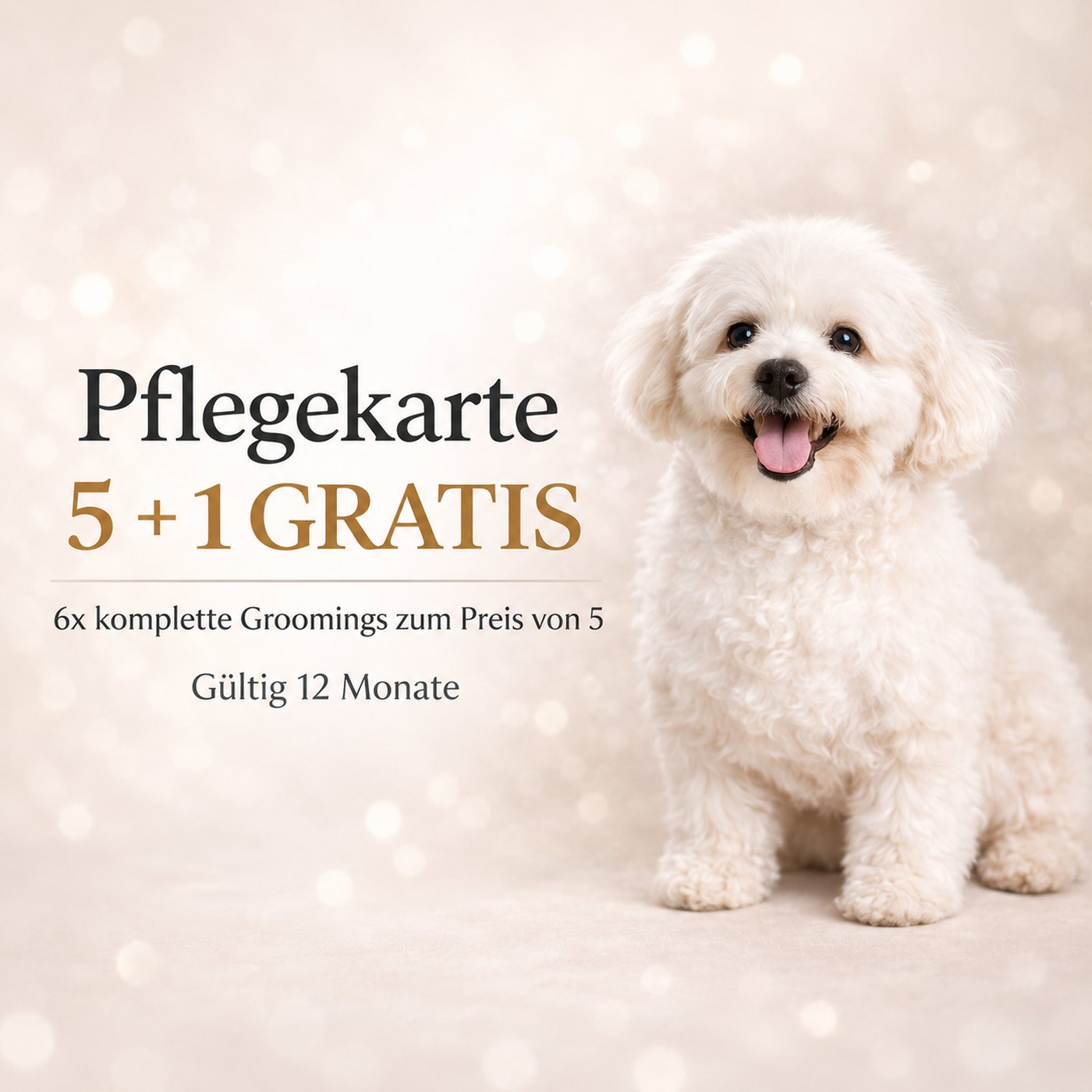 Aktionsgrafik der Pflegekarte 5 + 1 gratis